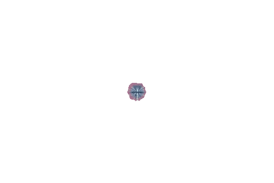 gif1